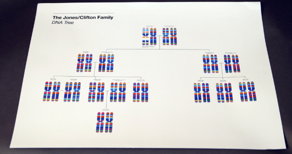 用棉簽采集你嘴里的DNA，根據(jù)它的特征定制一條專屬圍巾